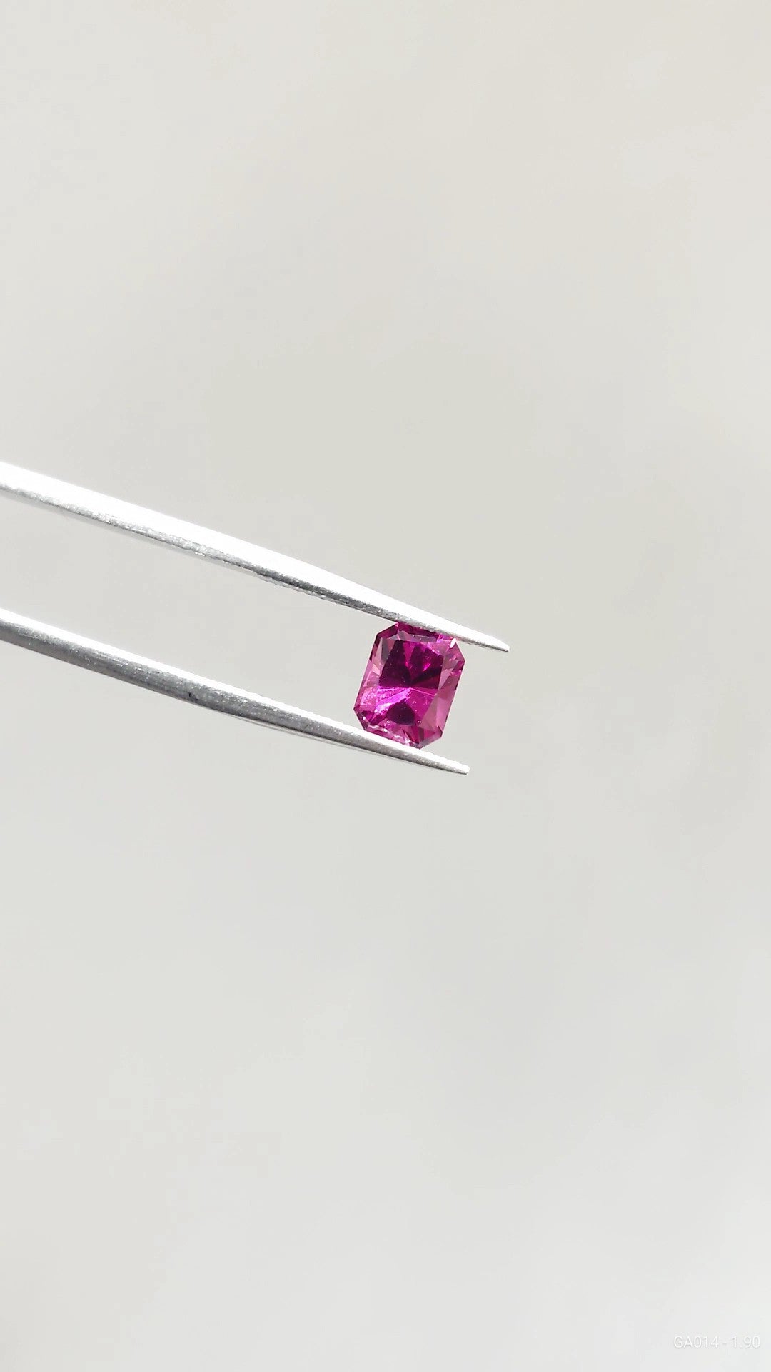 Loose Stone - Red Octagon Garnet 1.90ct